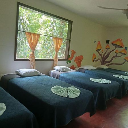 El Panchan Palenque Luaran gambar